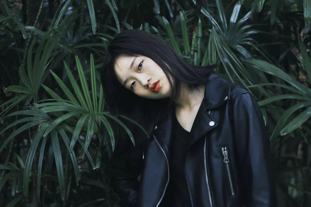 动物帮帮忙保卫家园